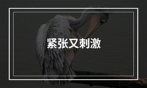 紧张又刺激