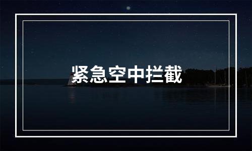 紧急空中拦截