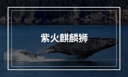 紫火麒麟狮
