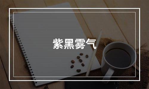 紫黑雾气