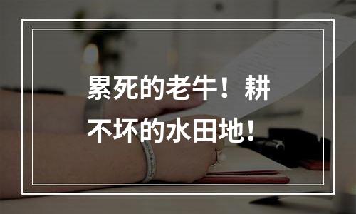 累死的老牛！耕不坏的水田地！