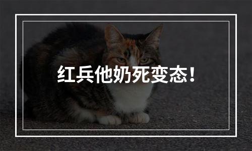 红兵他奶死变态！