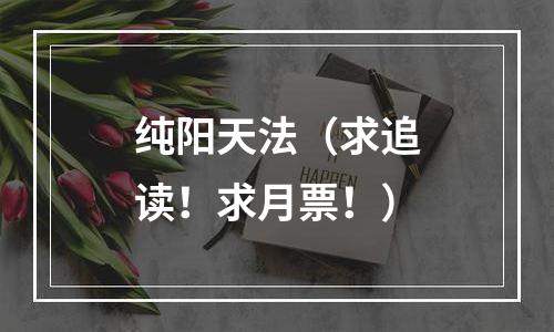 纯阳天法（求追读！求月票！）