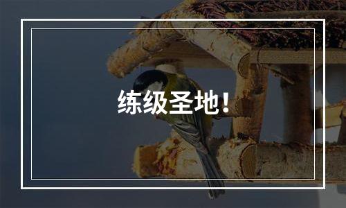 练级圣地！