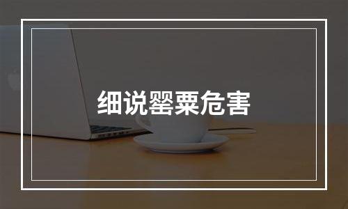 细说罂粟危害