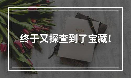终于又探查到了宝藏！