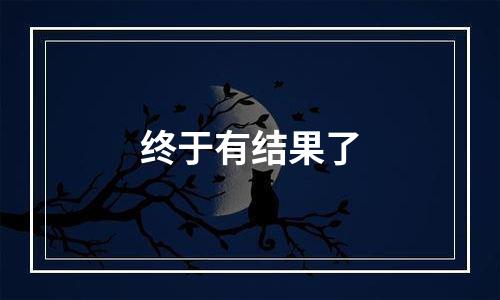 终于有结果了