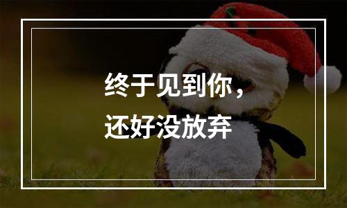 终于见到你，还好没放弃