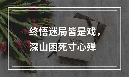 终悟迷局皆是戏，深山困死寸心殚
