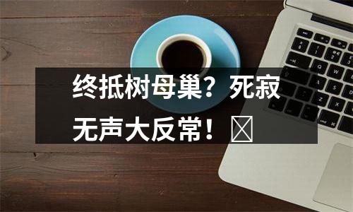 终抵树母巢？死寂无声大反常！​