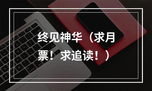 终见神华（求月票！求追读！）