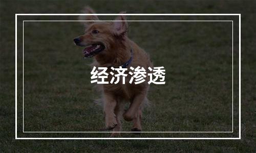 经济渗透