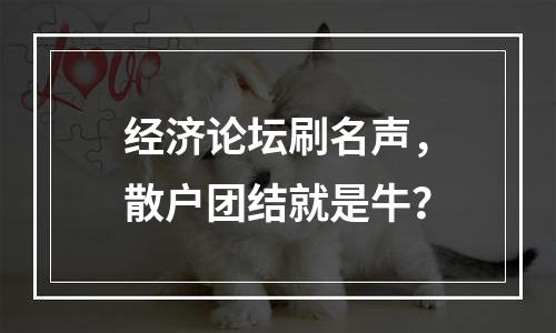 经济论坛刷名声，散户团结就是牛？