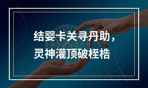 结婴卡关寻丹助，灵神灌顶破桎梏