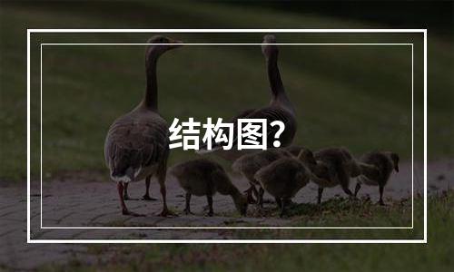 结构图？