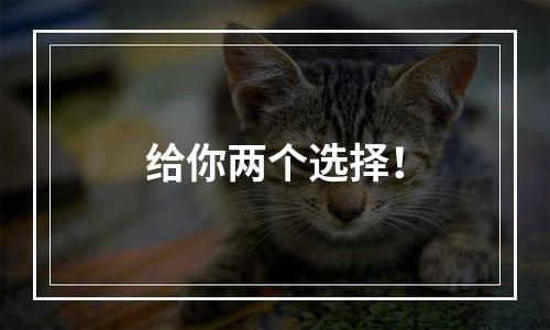 给你两个选择！