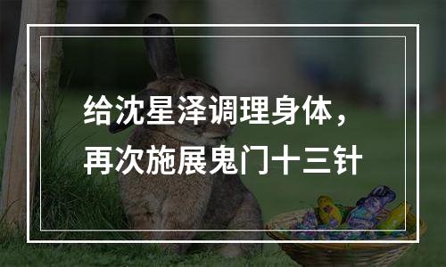 给沈星泽调理身体，再次施展鬼门十三针