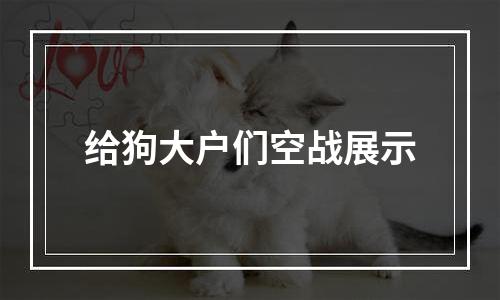 给狗大户们空战展示