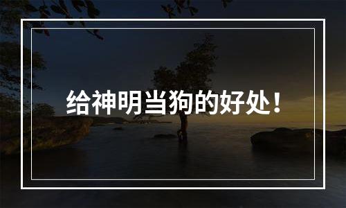 给神明当狗的好处！