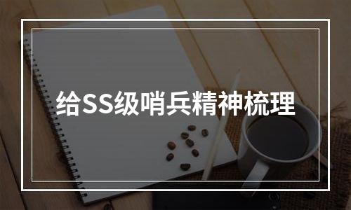 给SS级哨兵精神梳理
