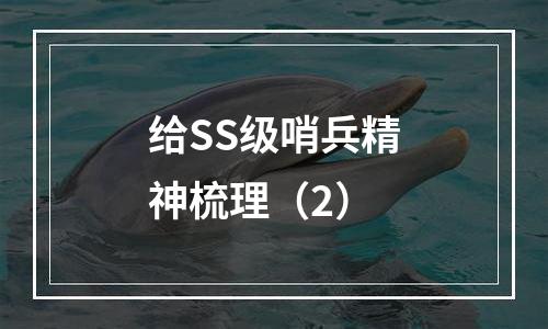 给SS级哨兵精神梳理（2）