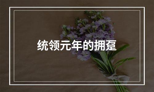 统领元年的拥趸
