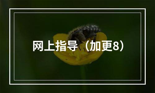 网上指导（加更8）
