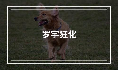 罗宇狂化