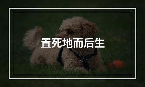 置死地而后生