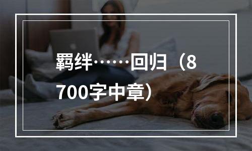 羁绊……回归（8700字中章）