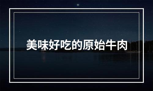 美味好吃的原始牛肉