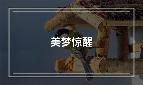 美梦惊醒