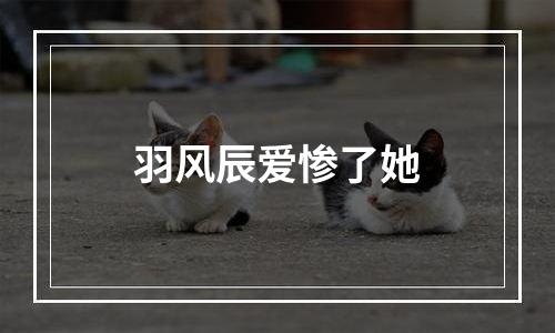 羽风辰爱惨了她
