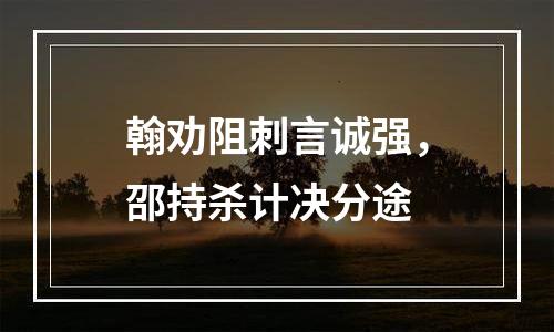 翰劝阻刺言诚强，邵持杀计决分途
