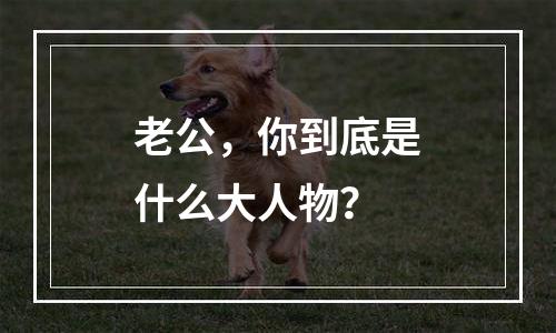 老公，你到底是什么大人物？