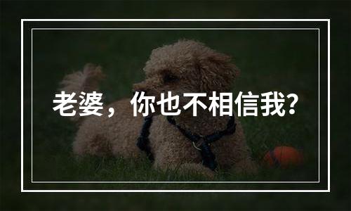 老婆，你也不相信我？