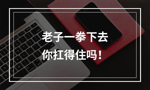 老子一拳下去你扛得住吗！