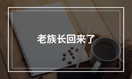 老族长回来了