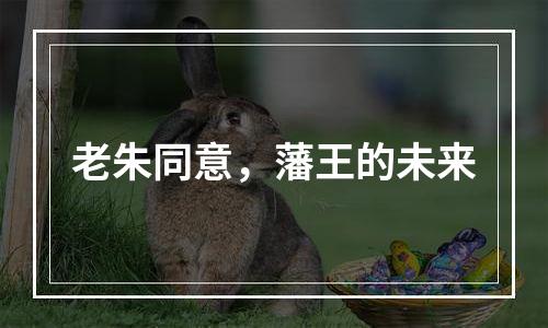 老朱同意，藩王的未来