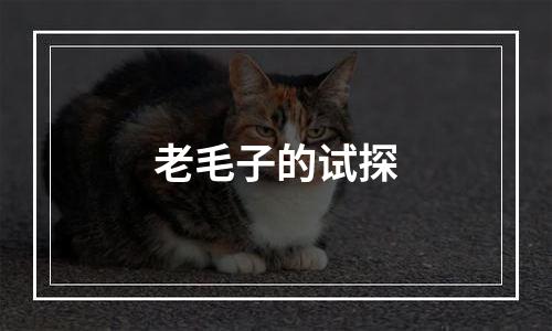 老毛子的试探