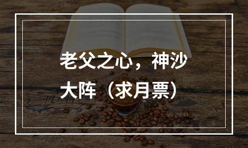 老父之心，神沙大阵（求月票）