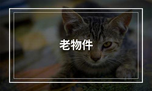 老物件