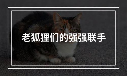 老狐狸们的强强联手