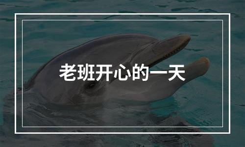 老班开心的一天