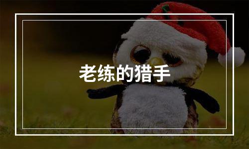 老练的猎手