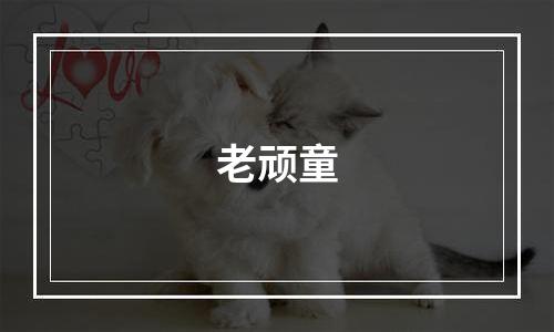 老顽童