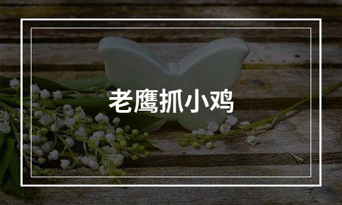 老鹰抓小鸡