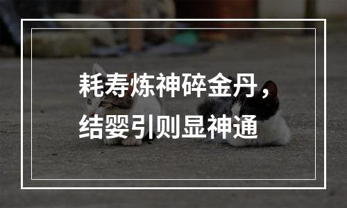 耗寿炼神碎金丹，结婴引则显神通