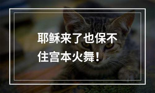 耶稣来了也保不住宫本火舞！