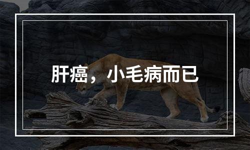 肝癌，小毛病而已